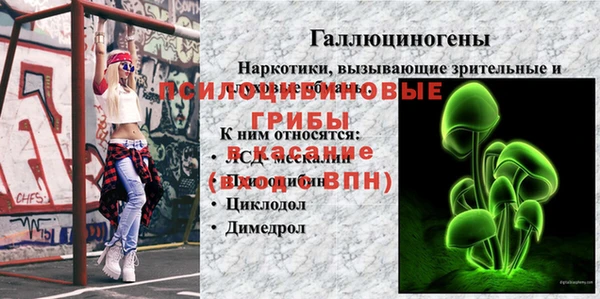сатива Горно-Алтайск