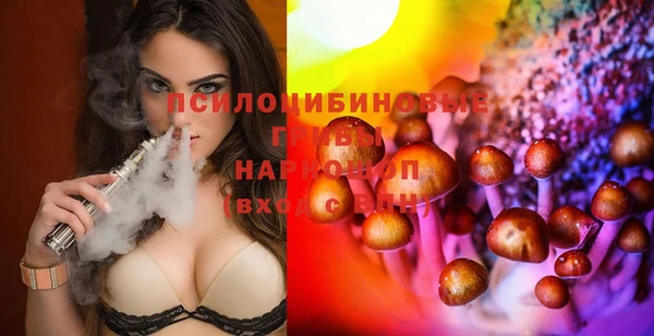 сатива Горно-Алтайск