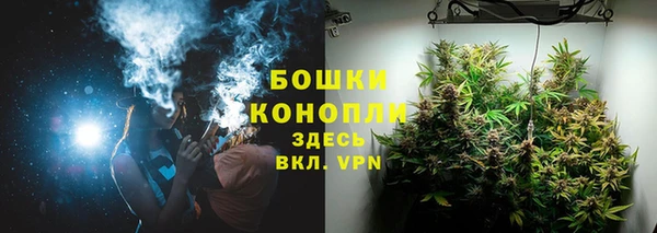 сатива Горно-Алтайск